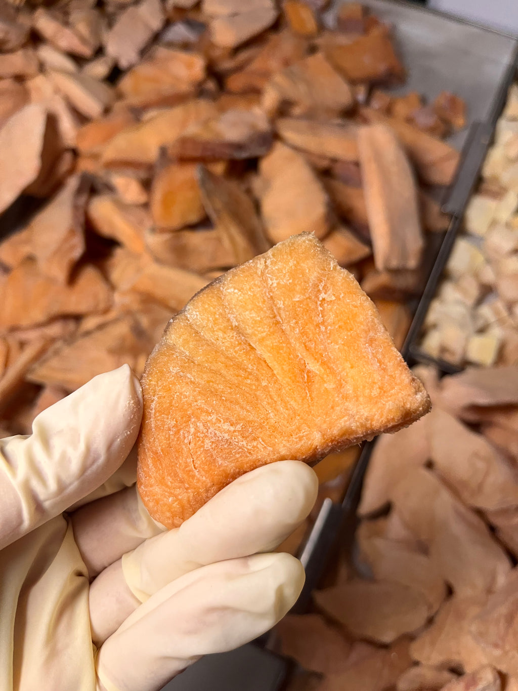 🐟 凍乾三文魚｜Salmon