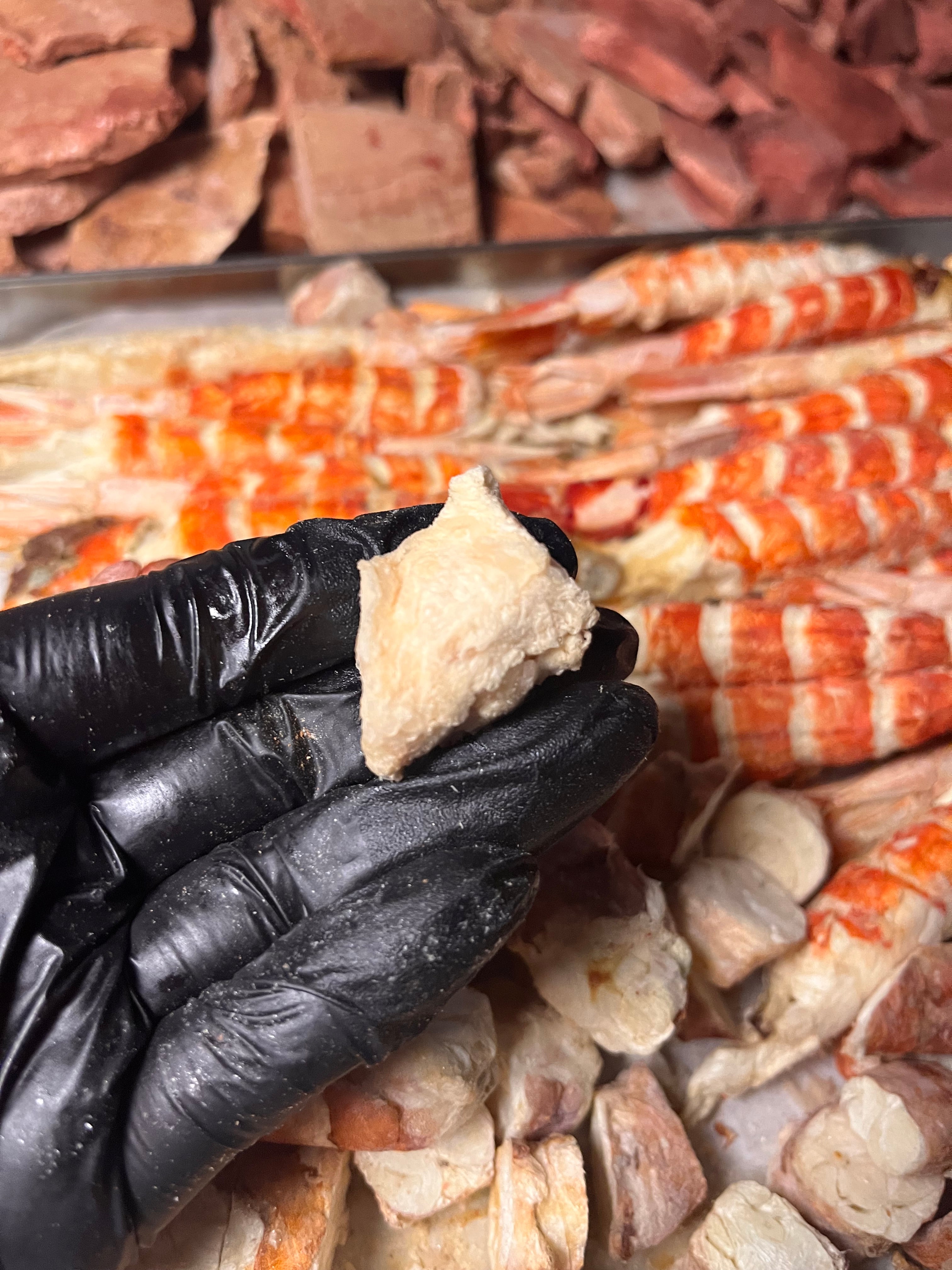 🐊 凍乾鱷魚肉｜Crocodile Meat