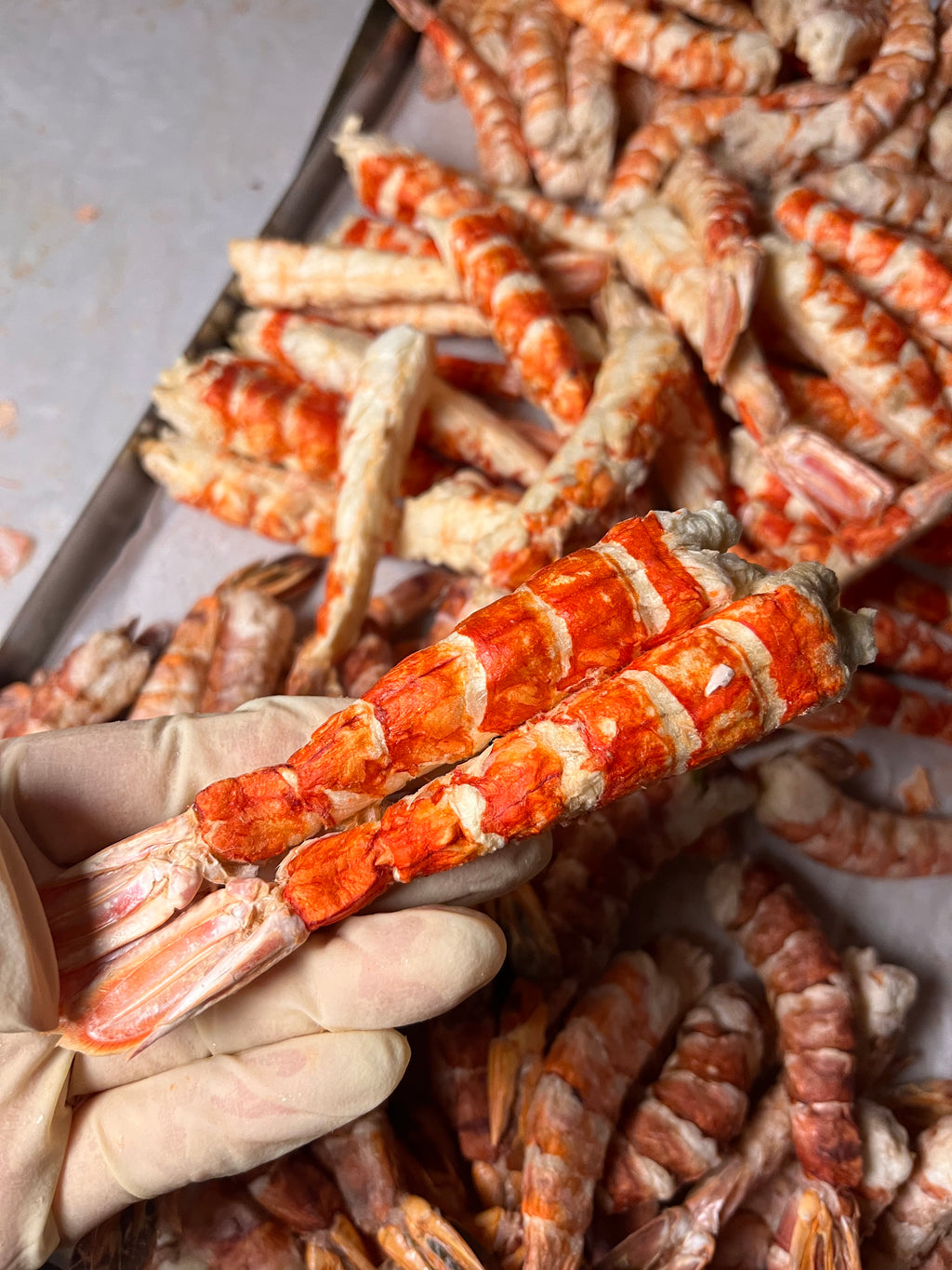 🦐 凍乾阿根廷紅蝦｜Argentine Red Shrimp