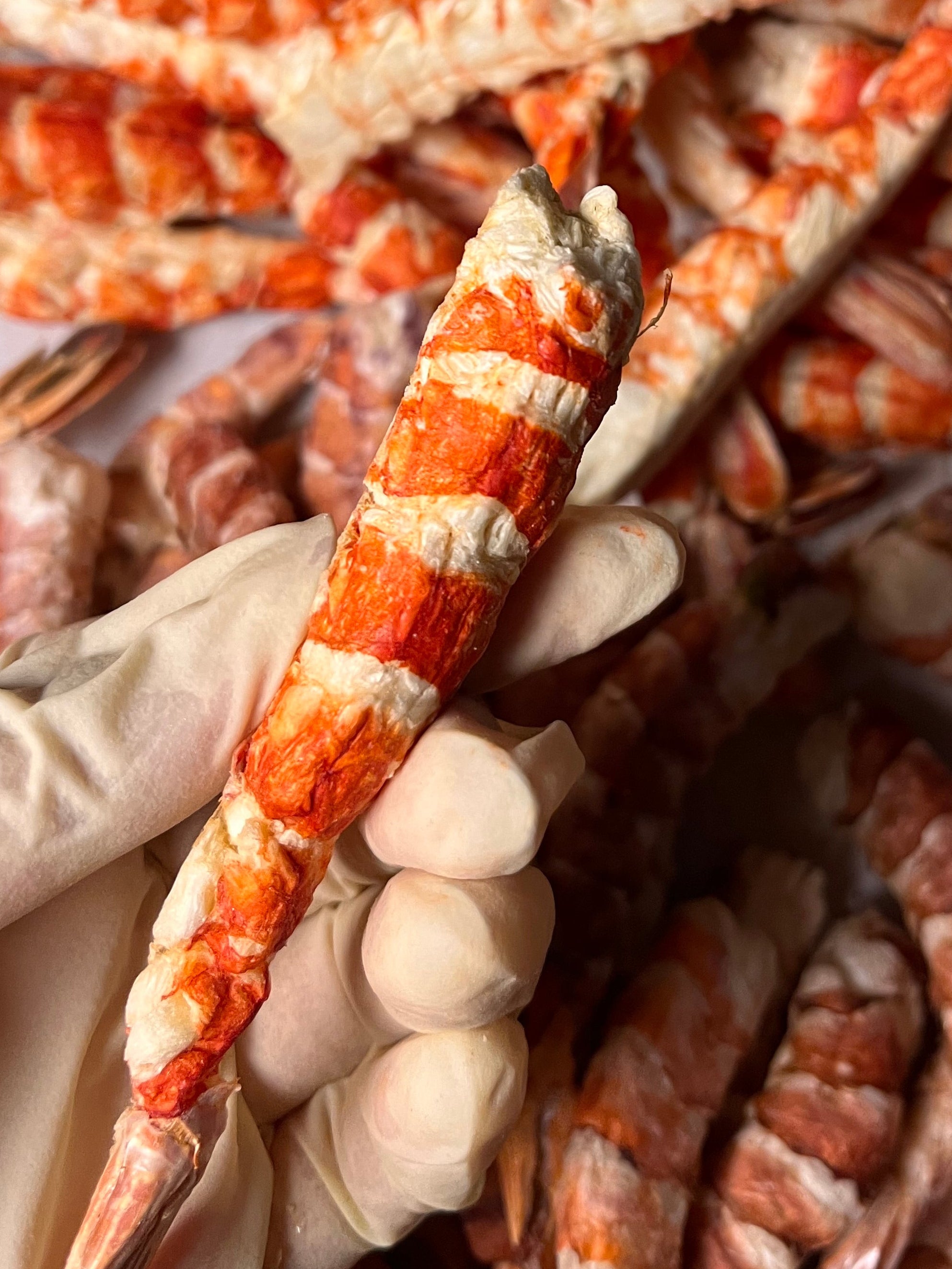🦐 凍乾阿根廷紅蝦｜Argentine Red Shrimp
