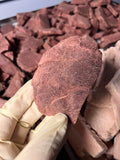 🦌 凍乾鹿肉｜Venison