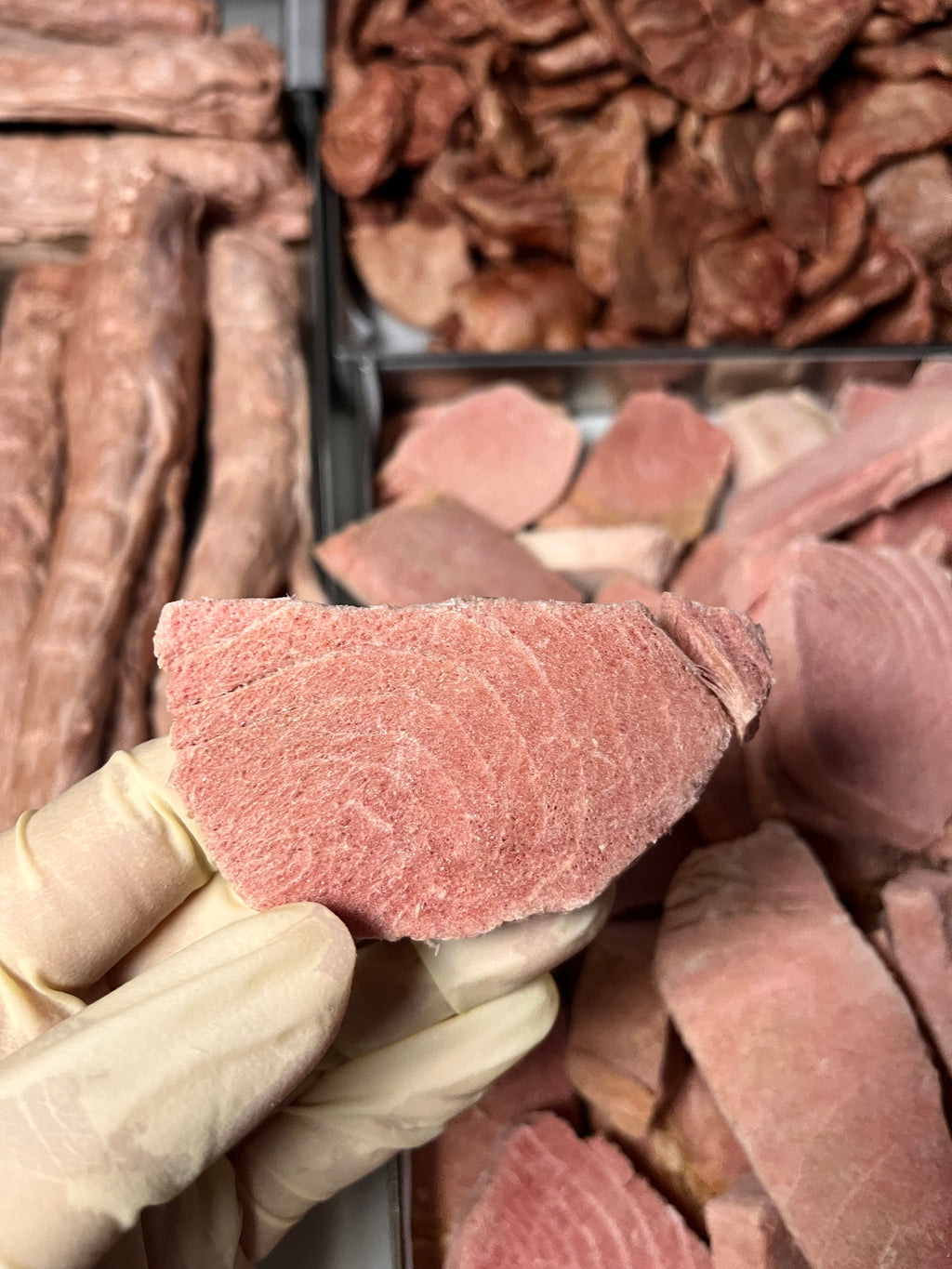 🐟 凍乾吞拿魚｜Tuna